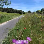 Maison Magnolia * Marcorignan
